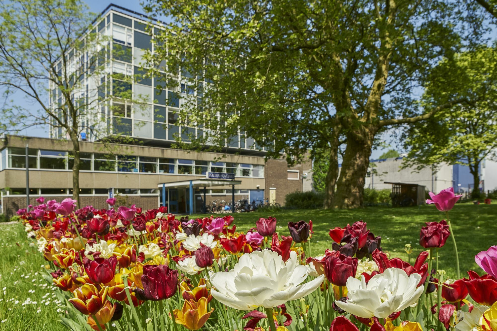 Pension Homeland Amsterdam Exterior photo